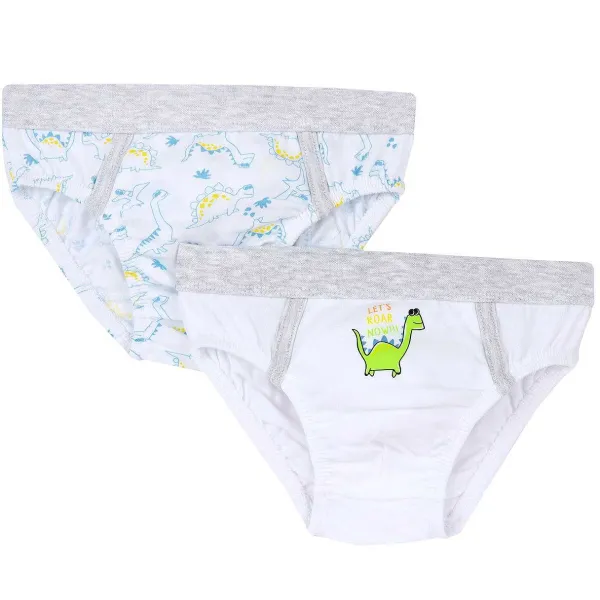 Intimo | Chicco Set Intimo Slip Con Dinosauri